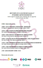 Reuni&oacute;n C&aacute;ncer Mama Ginecol&oacute;gico 2024