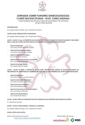 Tumores ginecol&oacute;gicos Almer&iacute;a