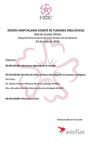 Comit&eacute; de Tumores Urol&oacute;gicos celebrada en el Complejo Hospitalario Universitario Insular-Materno Infantil (CHUIMI), en Las Palmas de Gran Canaria.