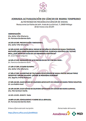 C&aacute;ncer de mama temprano alto riesgo M&aacute;laga